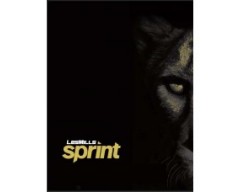 SPRINT 06 DVD + CD+ waveform graph