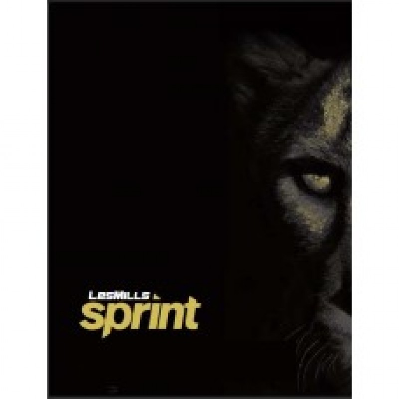 SPRINT 06 DVD + CD+ waveform graph